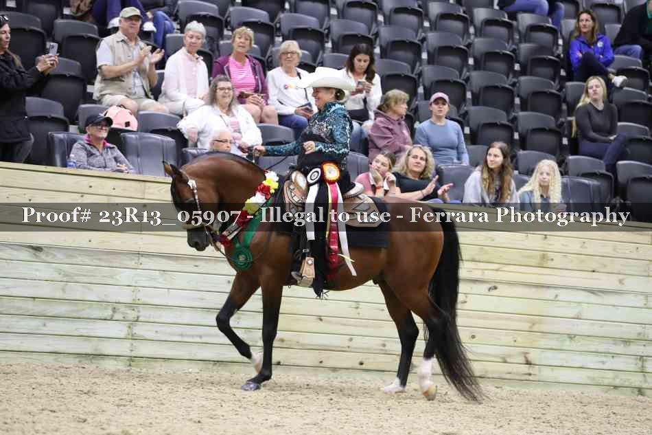 Proof Number 23R13_05907