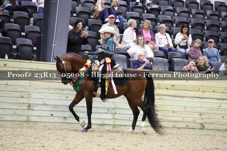Proof Number 23R13_05908