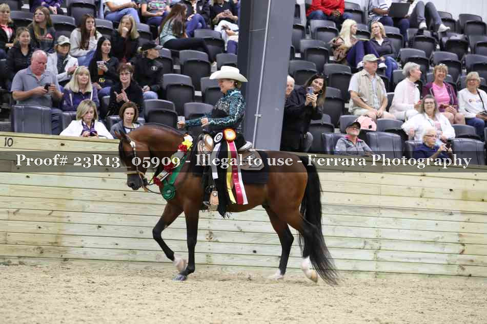 Proof Number 23R13_05909