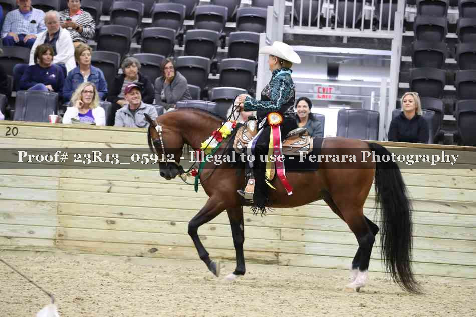 Proof Number 23R13_05912