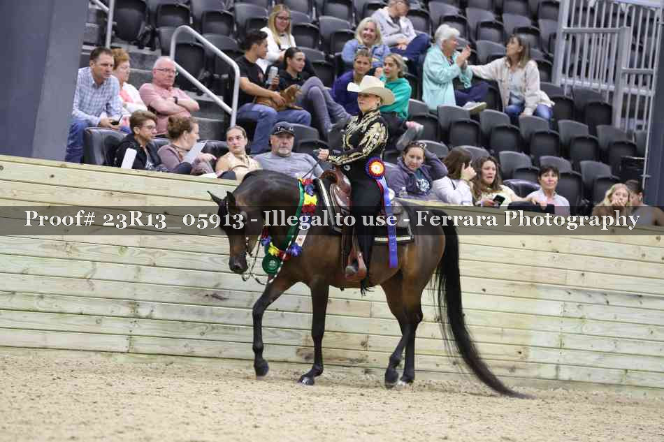 Proof Number 23R13_05913