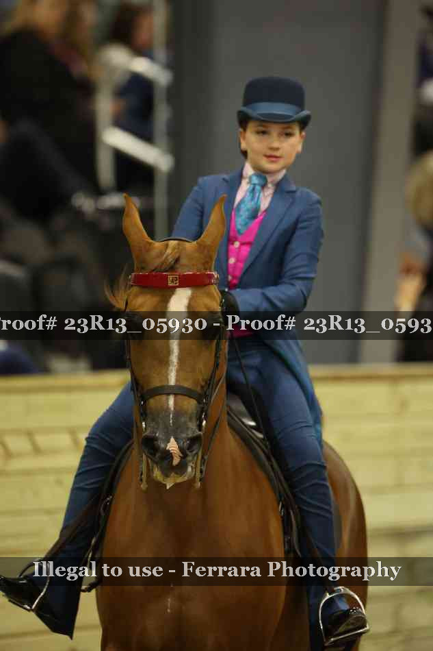 Proof Number 23R13_05930