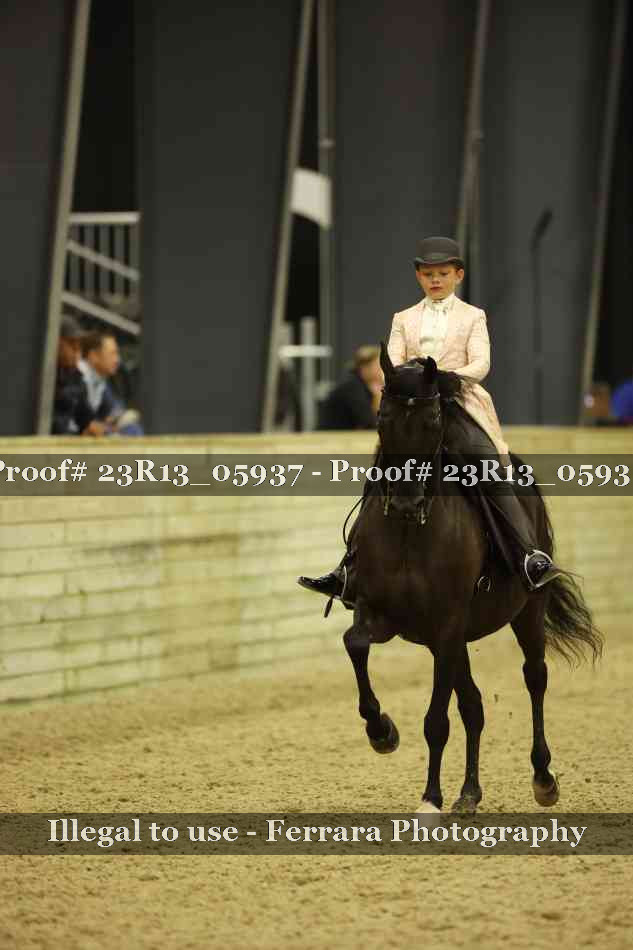 Proof Number 23R13_05937