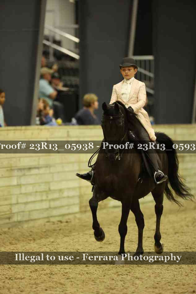 Proof Number 23R13_05938