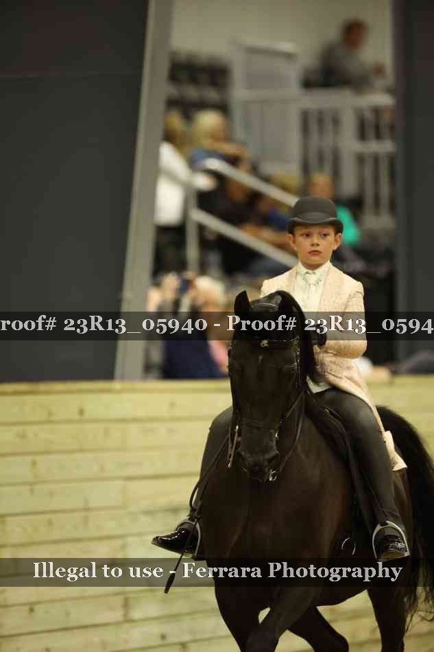 Proof Number 23R13_05940