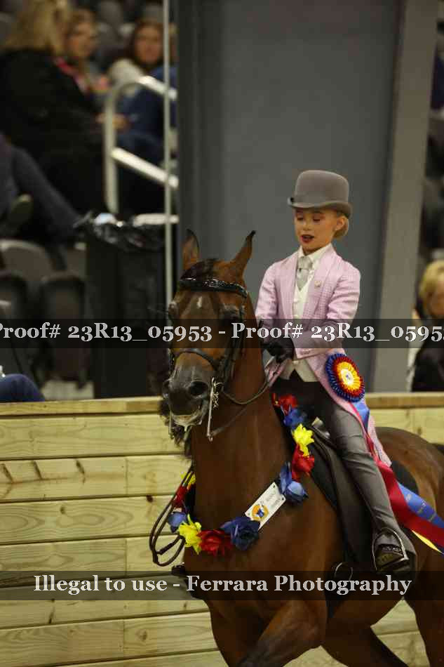 Proof Number 23R13_05953