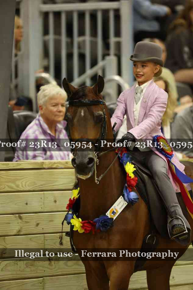 Proof Number 23R13_05954