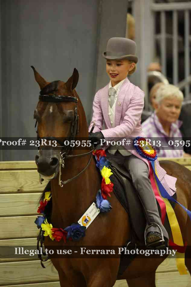 Proof Number 23R13_05955