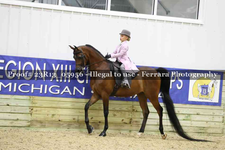 Proof Number 23R13_05956