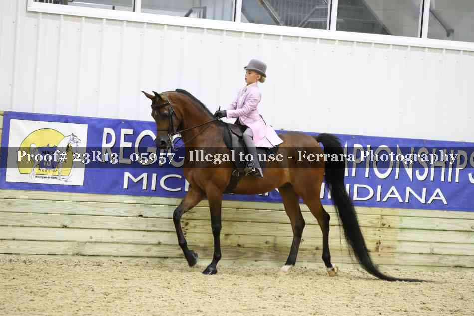 Proof Number 23R13_05957