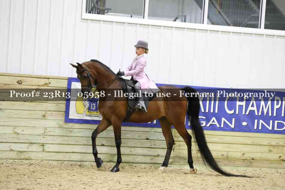 Proof Number 23R13_05958
