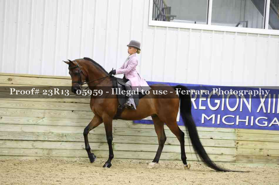 Proof Number 23R13_05959
