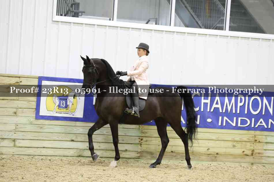 Proof Number 23R13_05961
