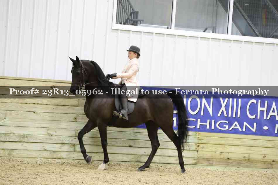 Proof Number 23R13_05962