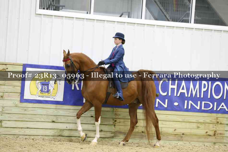 Proof Number 23R13_05963