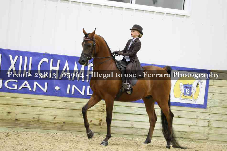 Proof Number 23R13_05964