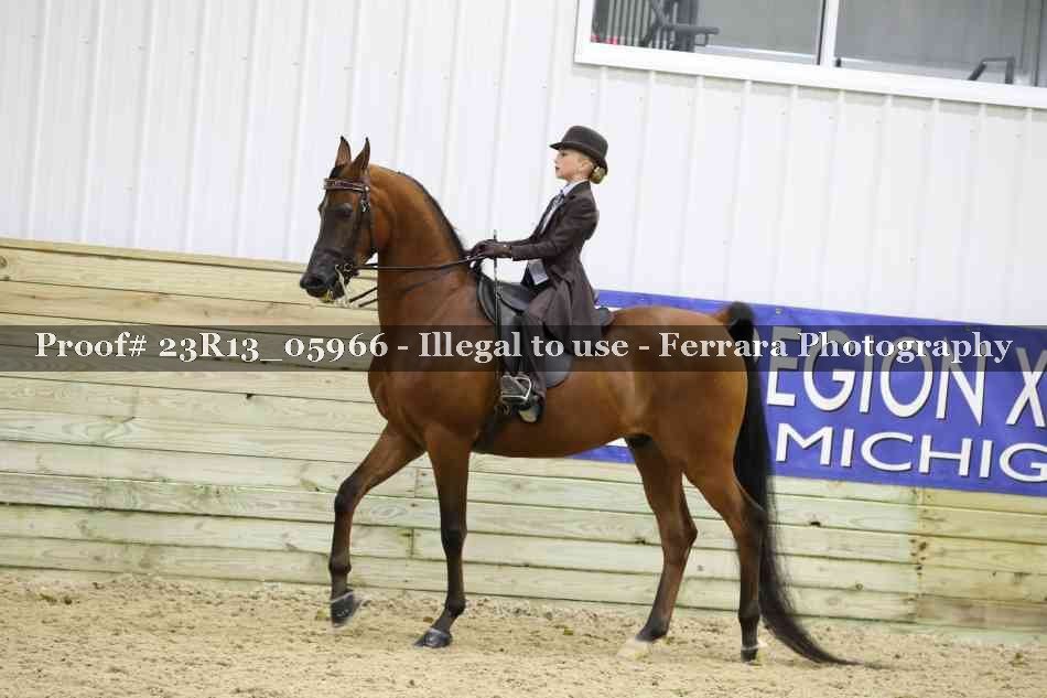 Proof Number 23R13_05966