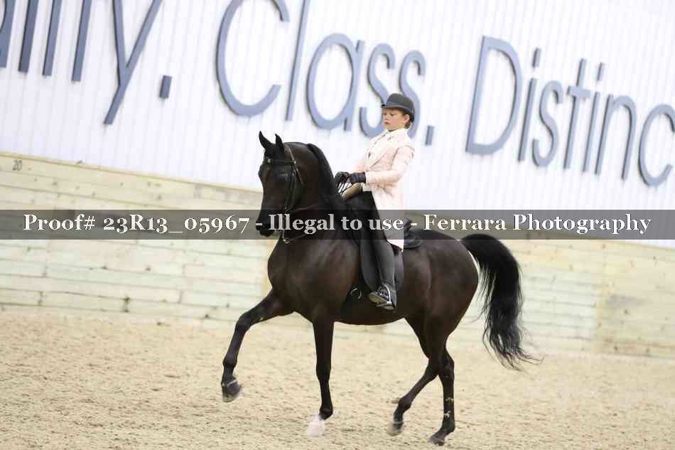 Proof Number 23R13_05967
