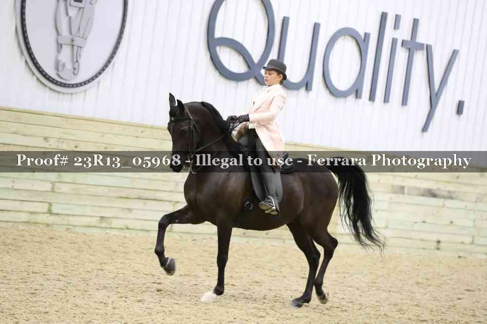 Proof Number 23R13_05968