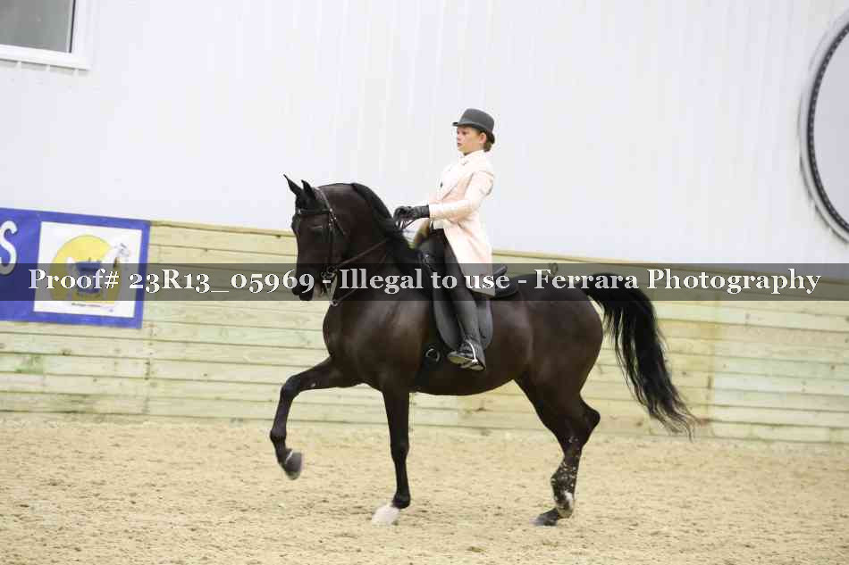 Proof Number 23R13_05969