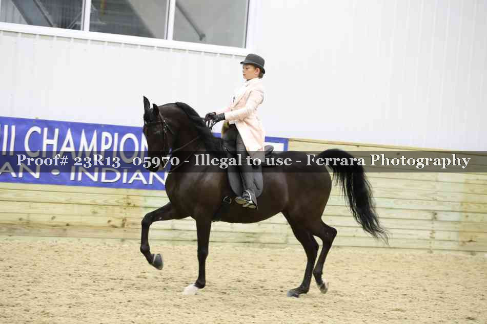 Proof Number 23R13_05970