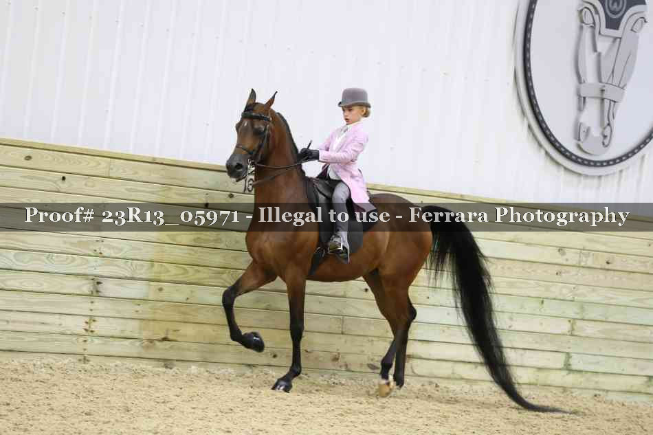Proof Number 23R13_05971