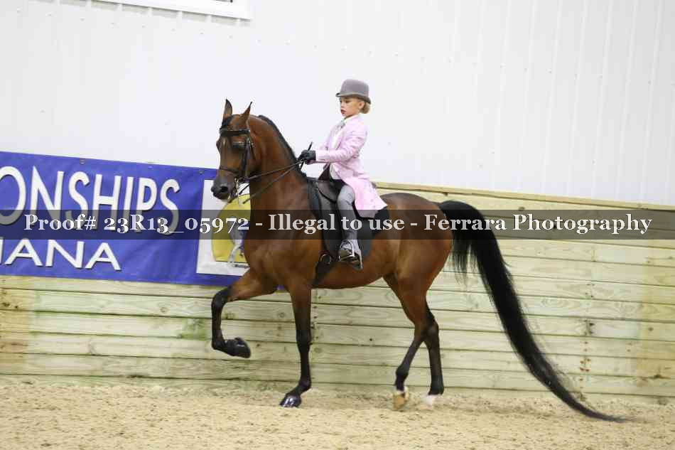 Proof Number 23R13_05972