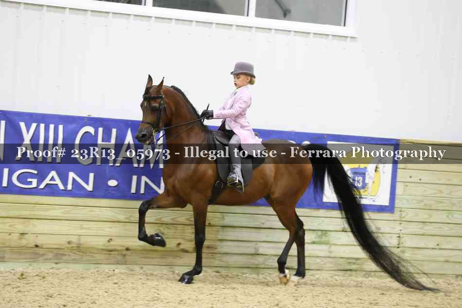 Proof Number 23R13_05973