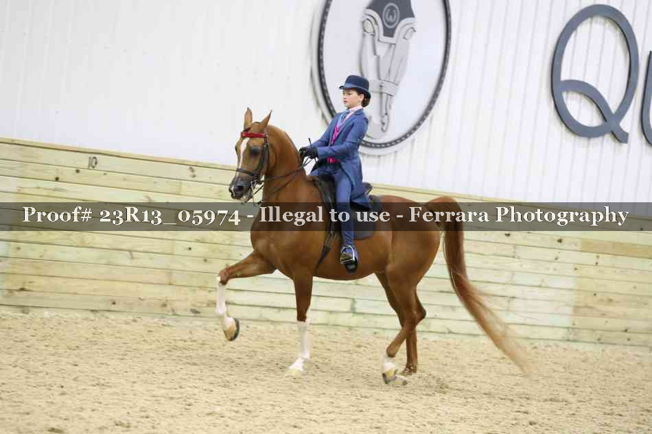 Proof Number 23R13_05974