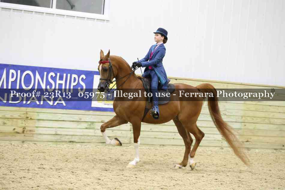 Proof Number 23R13_05975