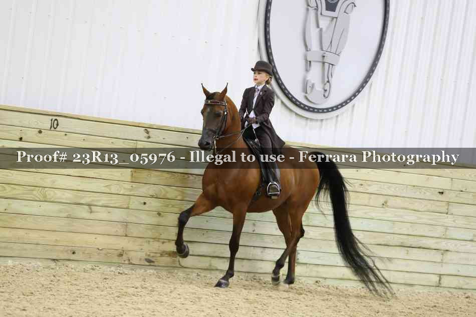 Proof Number 23R13_05976