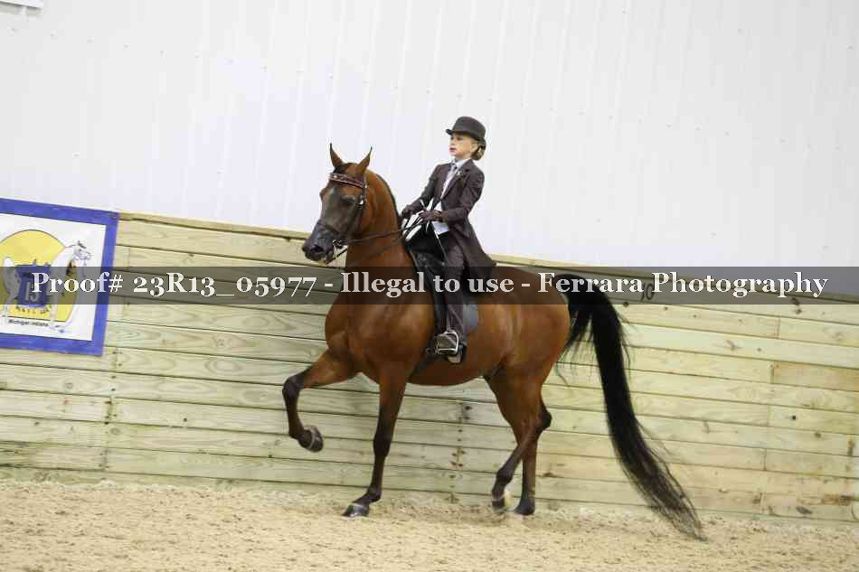 Proof Number 23R13_05977