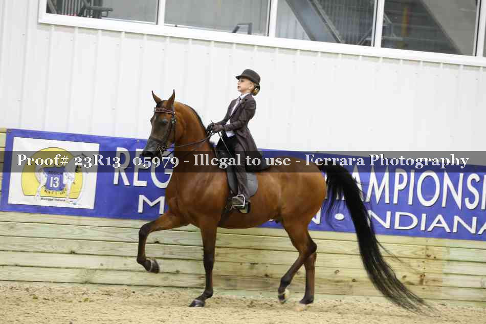 Proof Number 23R13_05979