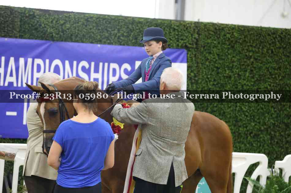 Proof Number 23R13_05980