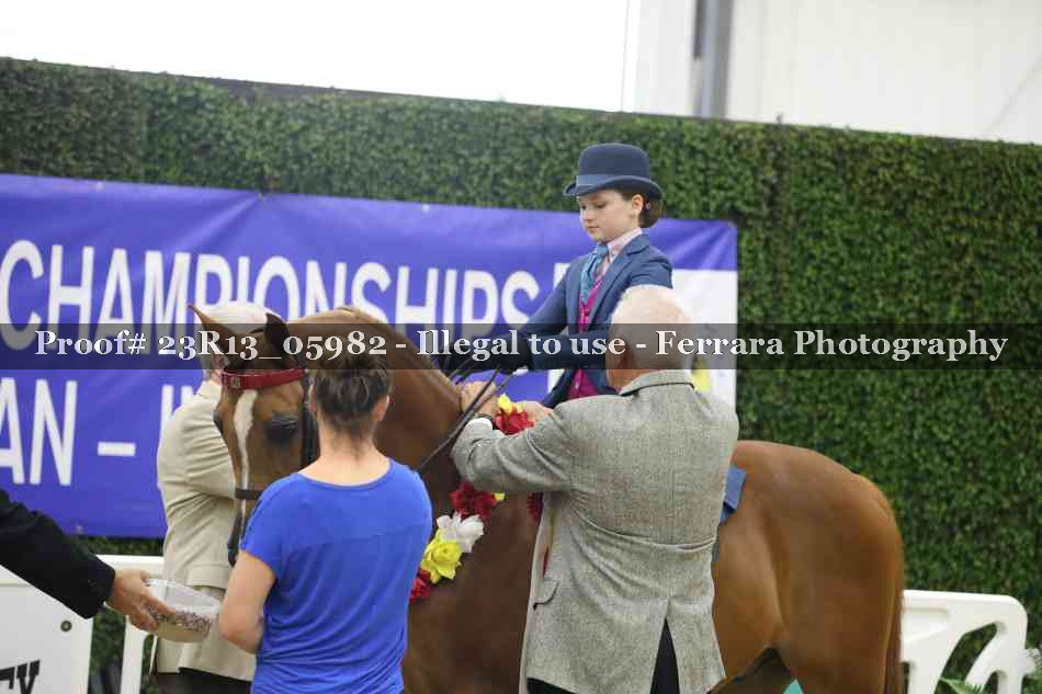 Proof Number 23R13_05982