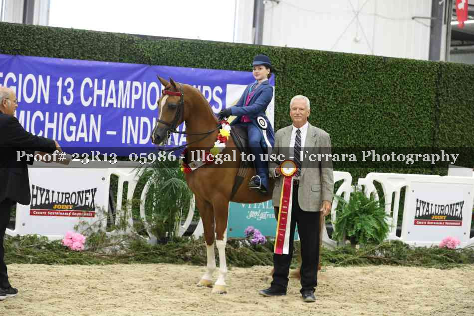 Proof Number 23R13_05986