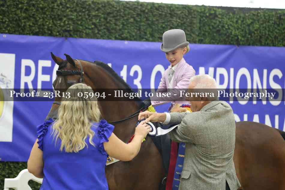 Proof Number 23R13_05994