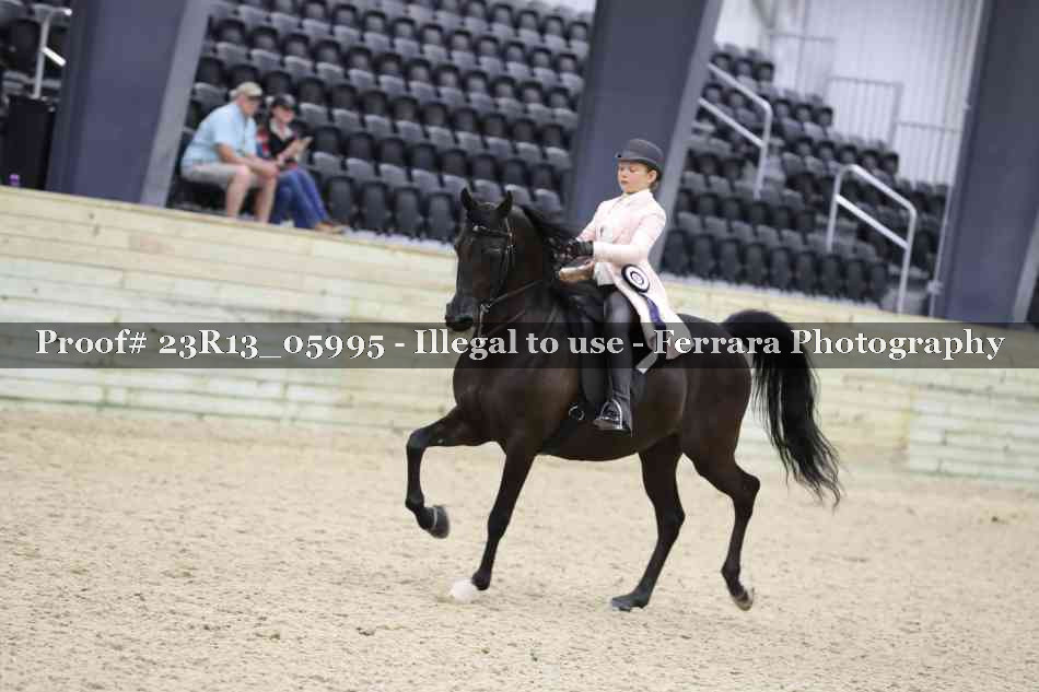 Proof Number 23R13_05995