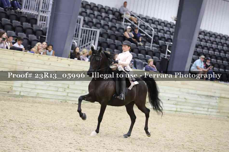 Proof Number 23R13_05996