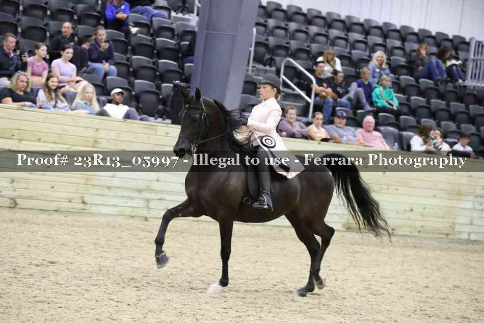 Proof Number 23R13_05997