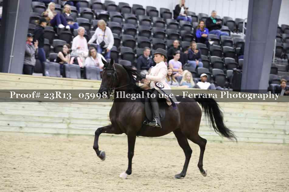 Proof Number 23R13_05998