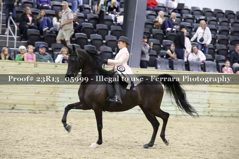 Proof Number 23R13_05999