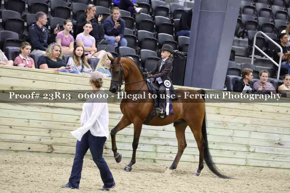 Proof Number 23R13_06000