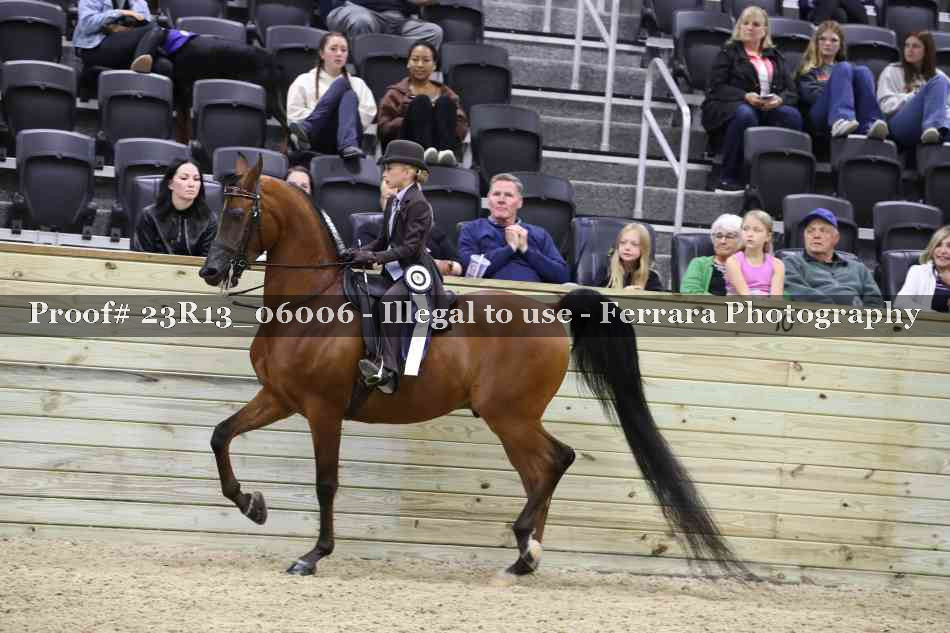 Proof Number 23R13_06006