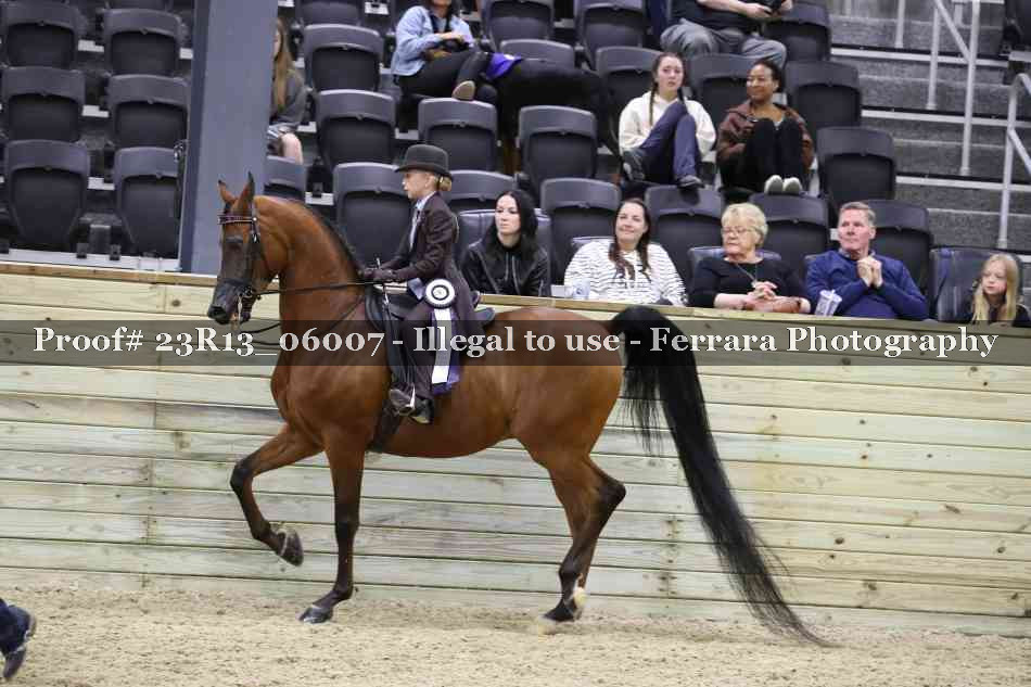 Proof Number 23R13_06007