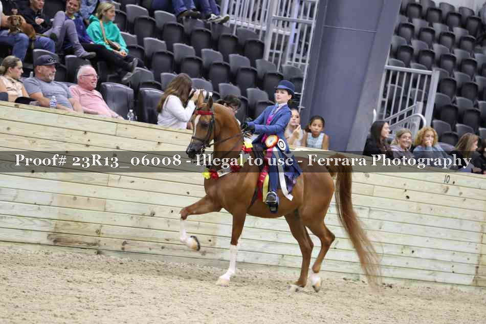 Proof Number 23R13_06008
