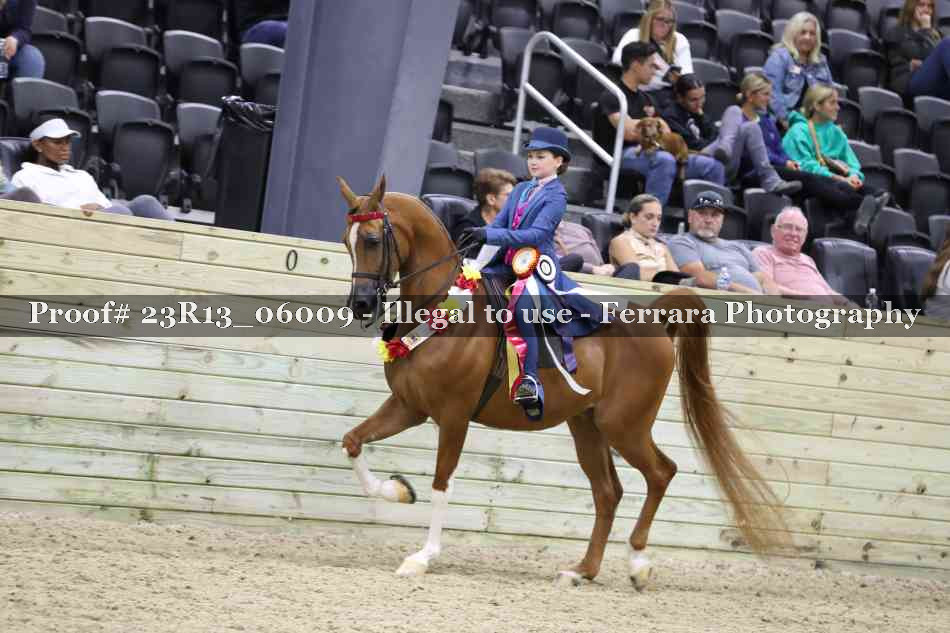 Proof Number 23R13_06009