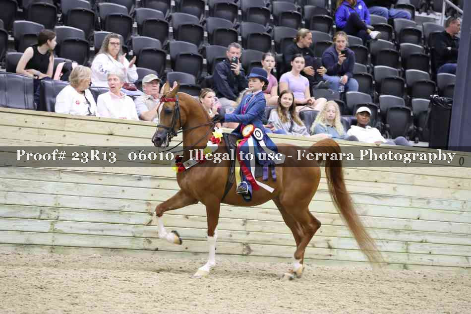 Proof Number 23R13_06010