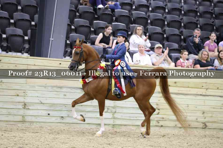 Proof Number 23R13_06011