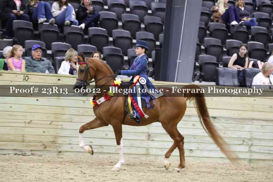 Proof Number 23R13_06012